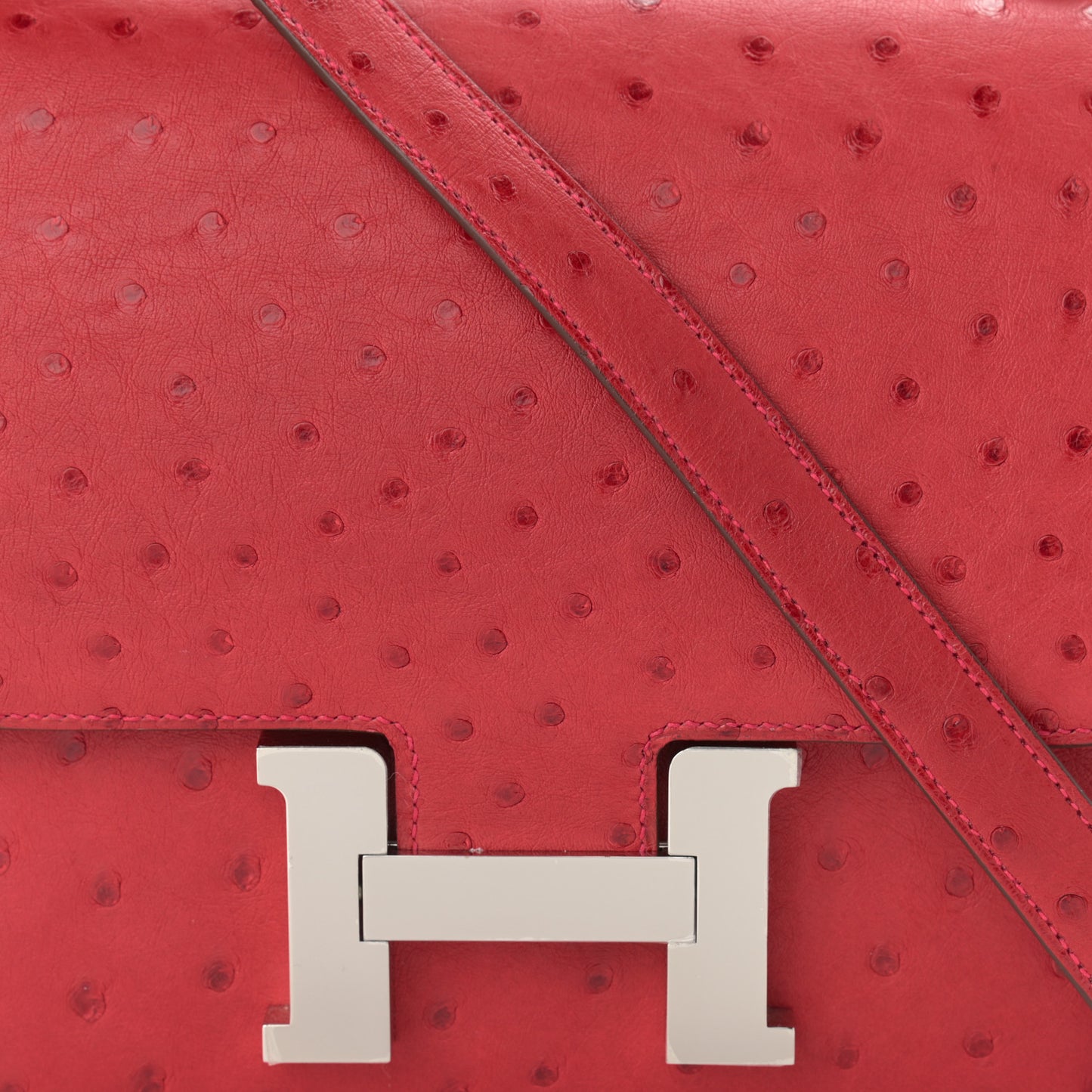 Ostrich Constance 24 Rouge Vif