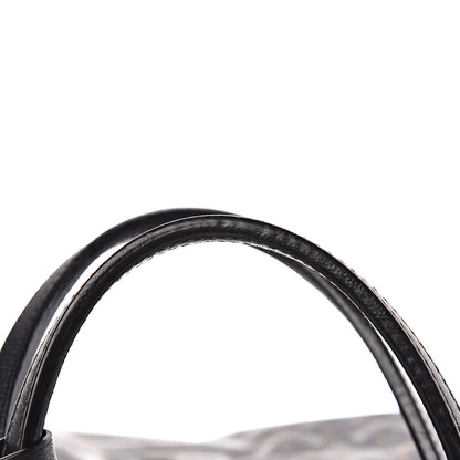 Goyard Goyardine Saint Louis PM Black 13 of 18