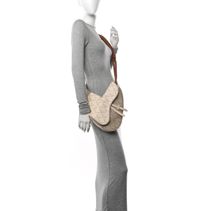 Christian Dior Coated Canvas Calfskin CD Diamond Nautic Mens Saddle Bag Ivory 2 of 10