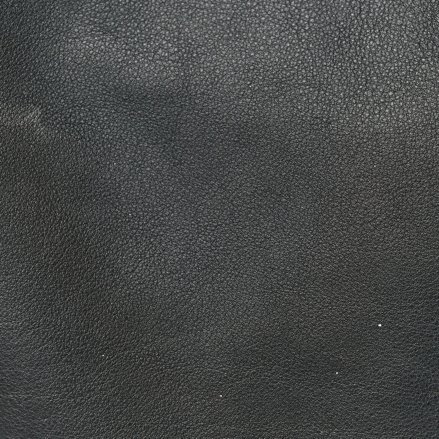 Goyard Goyardine Reversible Mini Anjou Black 13 of 16