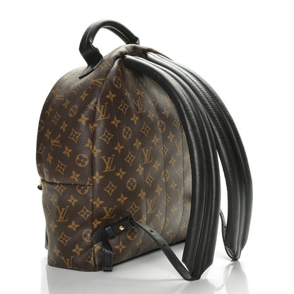 Louis Vuitton Monogram Palm Springs Backpack MM 3 of 6