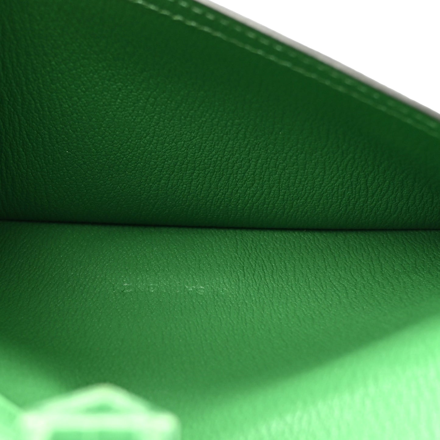 Shiny Alligator Bearn Wallet Cactus