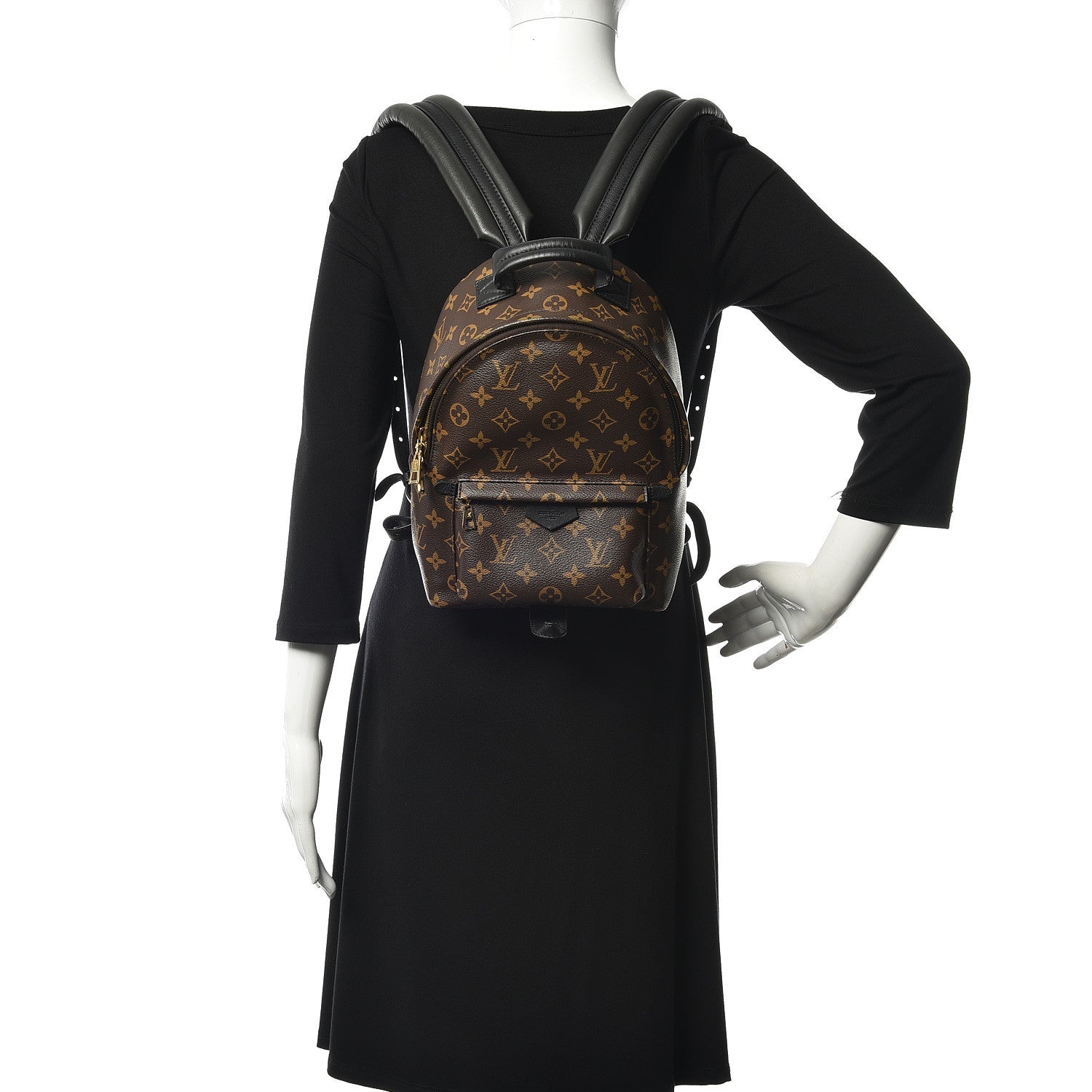 Louis Vuitton Monogram Palm Springs Backpack PM 2 of 11