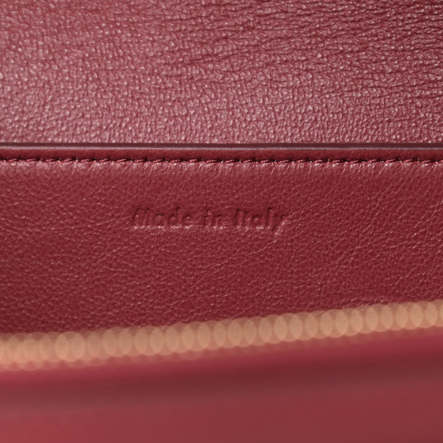 Celine Shiny Smooth Calfskin Medium Frame Shoulder Bag Ruby Nude 6 of 12