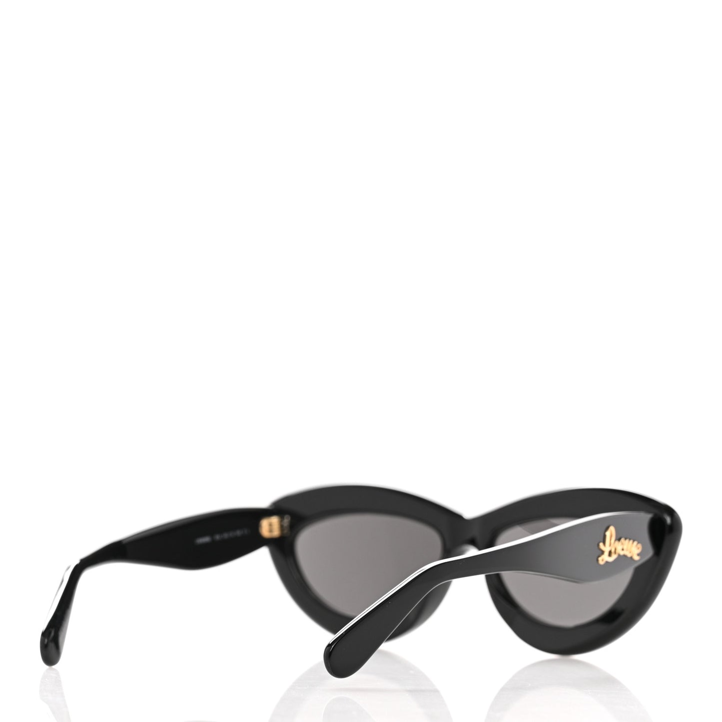 Acetate Cat Eye Sunglasses LW40096I Black