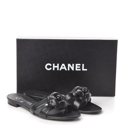 Chanel Lambskin Camellia Sandal Mules 36.5 Black 8 of 8