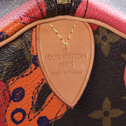 Louis Vuitton Monogram Ramages Speedy 30 Grenade 6 of 13