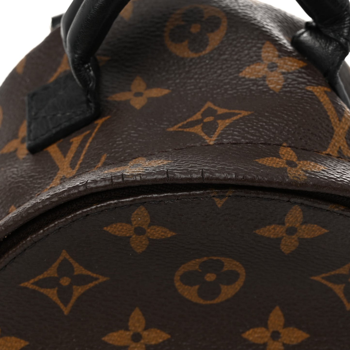 Monogram Palm Springs Backpack Mini