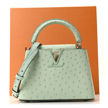 Louis Vuitton Ostrich Capucines Mini Vert Celadon 10 of 10