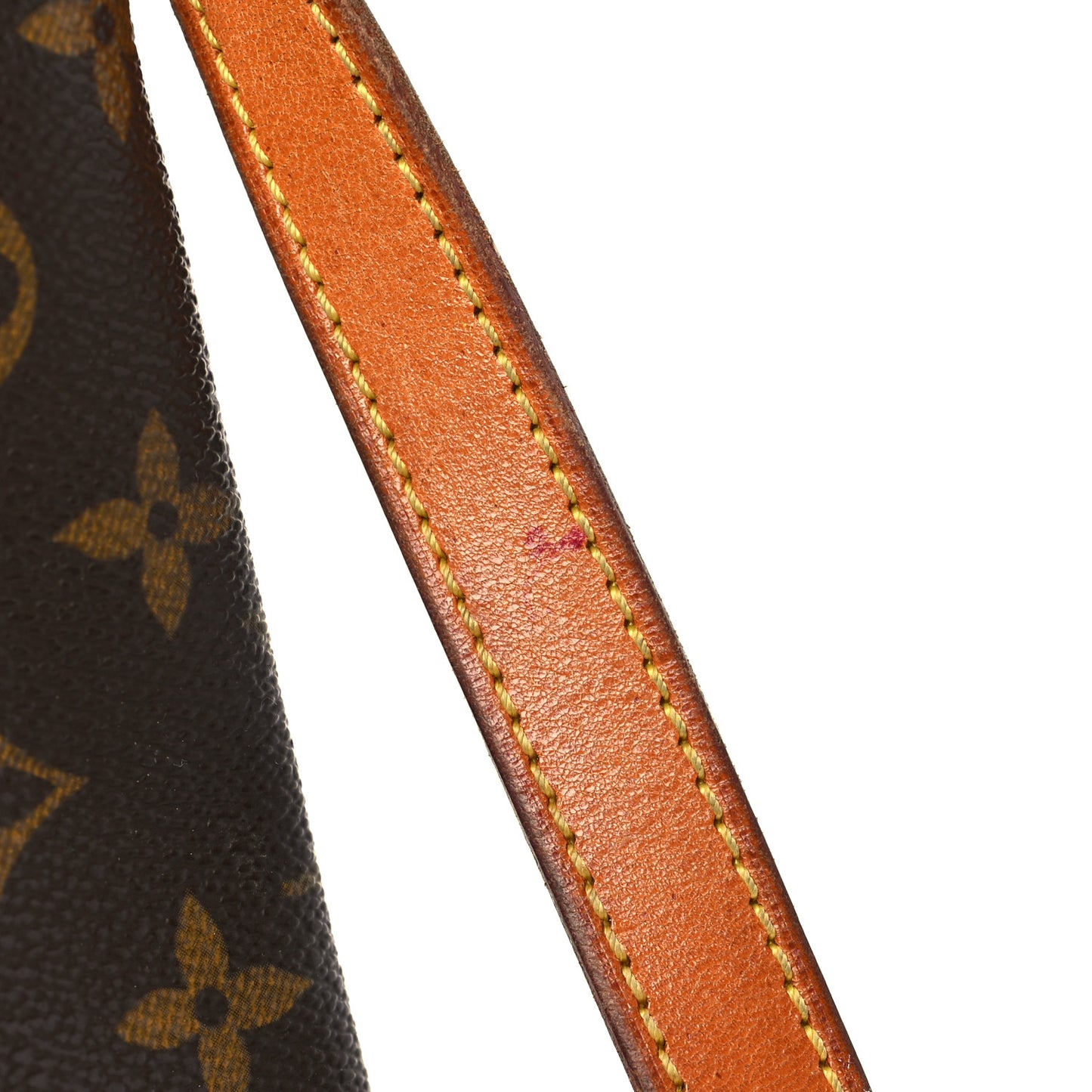 Monogram Musette Salsa