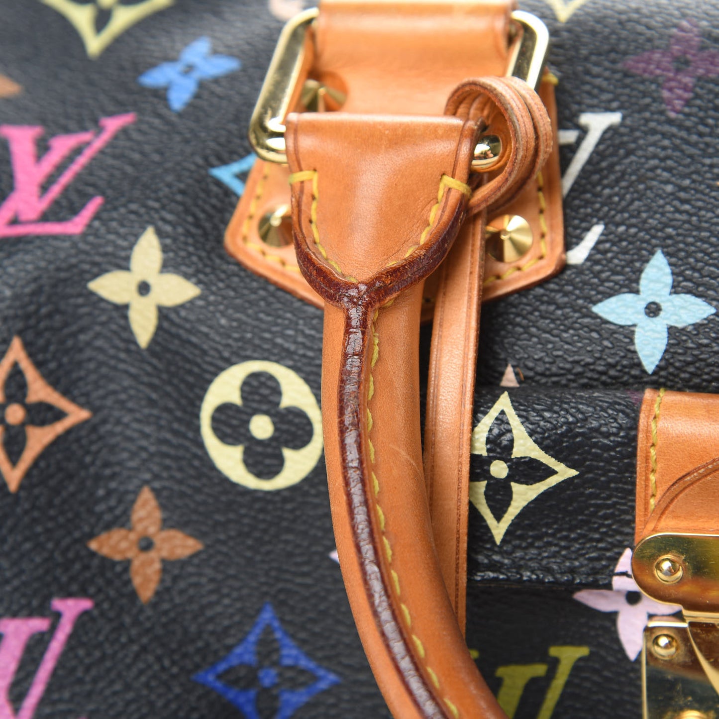 Monogram Multicolor Speedy 30 Black
