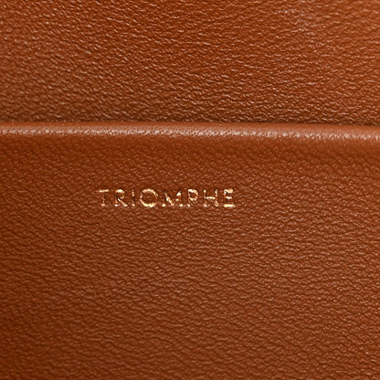 Celine Natural Calfskin Triomphe Shoulder Bag Tan 7 of 15