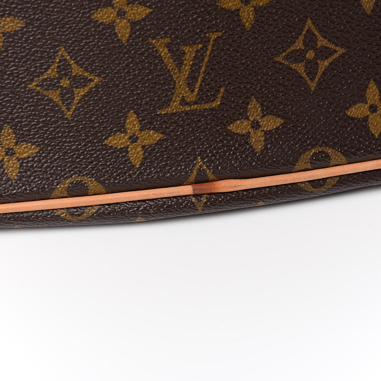 Louis Vuitton Monogram Palermo PM 10 of 12