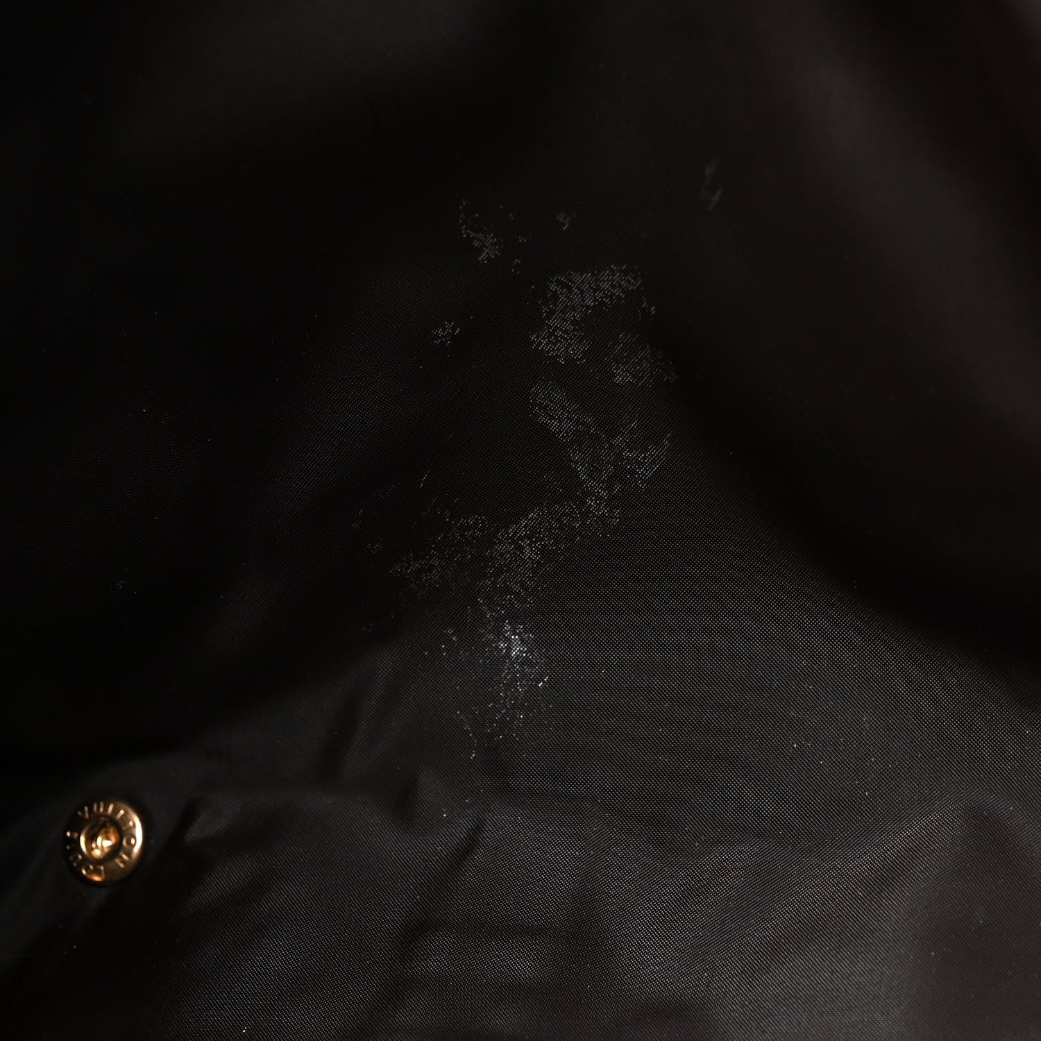 Louis Vuitton Monogram Baxter GM Dog Pet Carrier 13 of 18