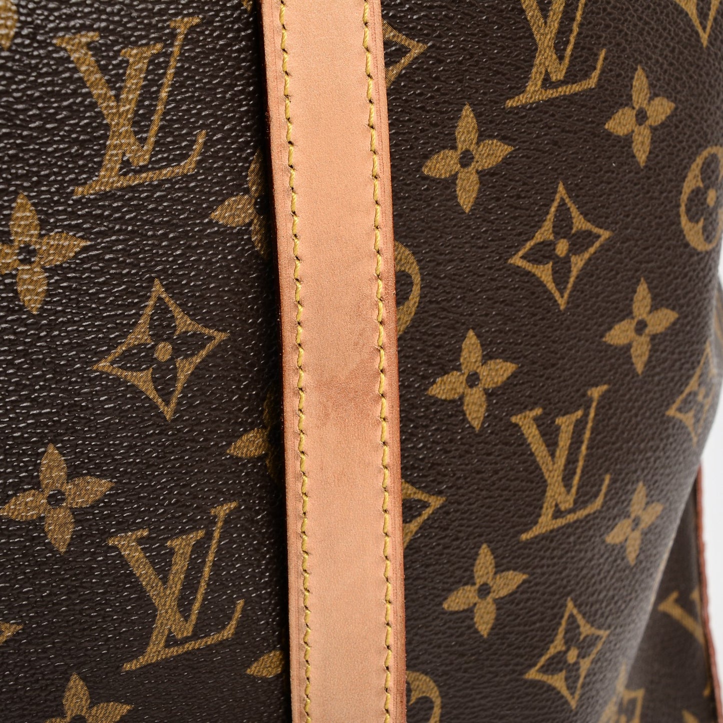 Monogram Cabas Mezzo