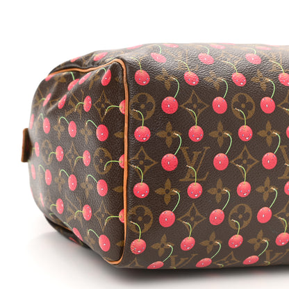 Louis Vuitton Monogram Cerises Speedy 25 9 of 11