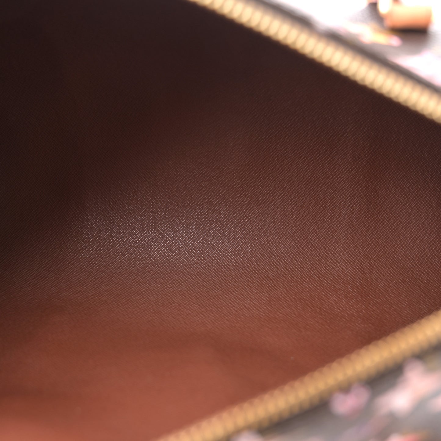 Watercolor Aquarelle Papillon