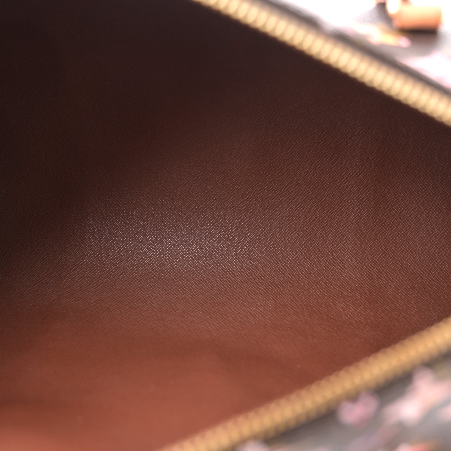 Louis Vuitton Watercolor Aquarelle Papillon 5 of 13