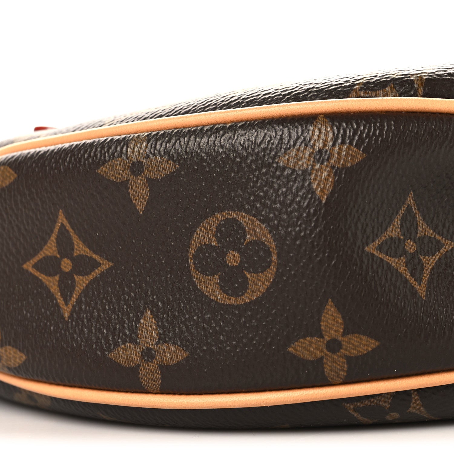 Louis Vuitton Monogram Loop 7 of 8