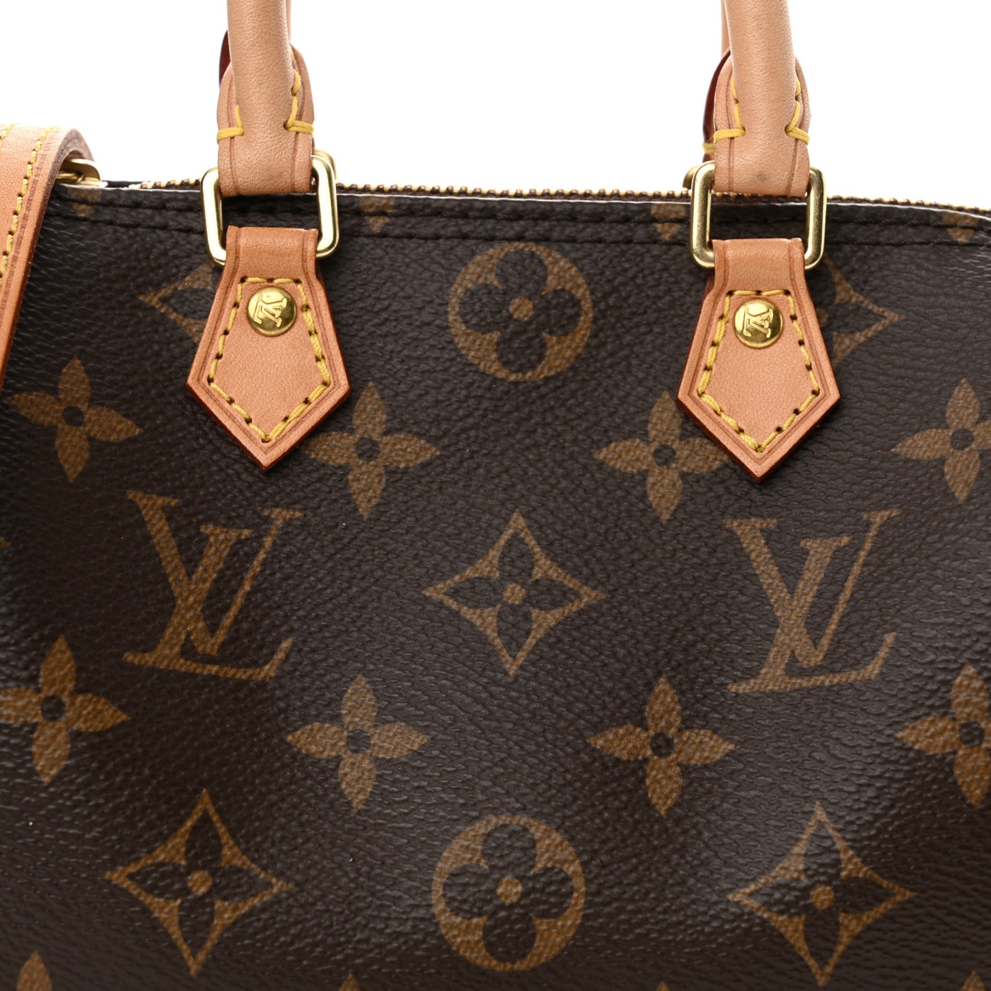 Monogram Nano Speedy