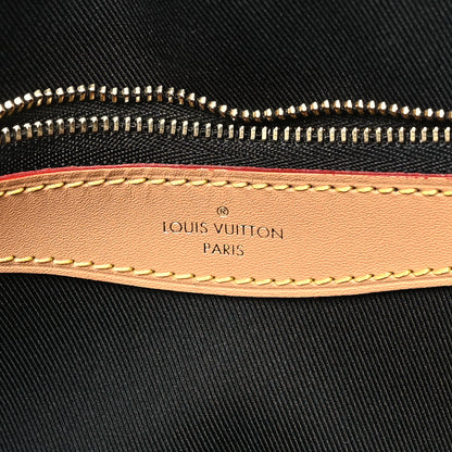 Louis Vuitton Monogram Diane 6 of 9