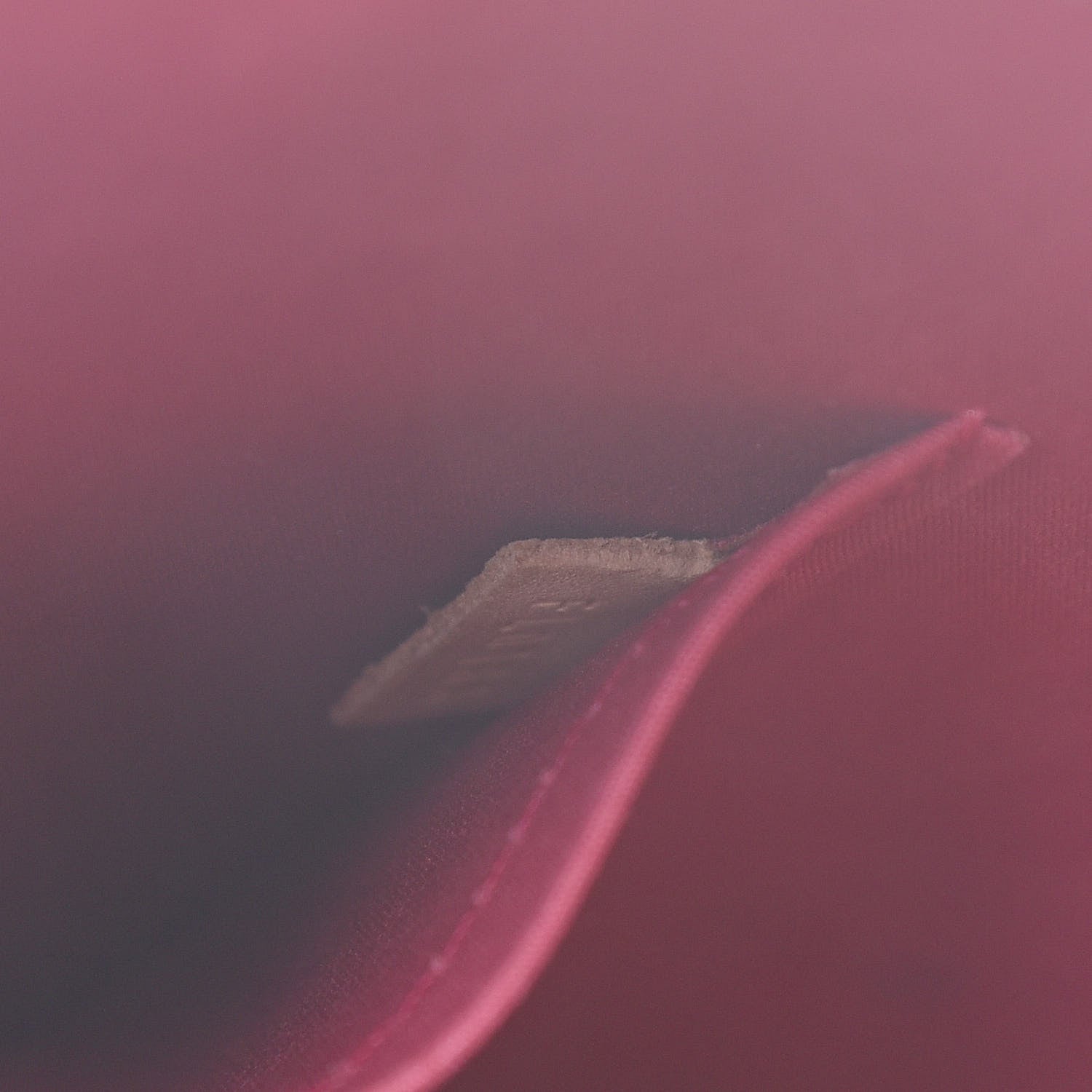 Louis Vuitton Vernis Alma PM Rose Indien 7 of 16