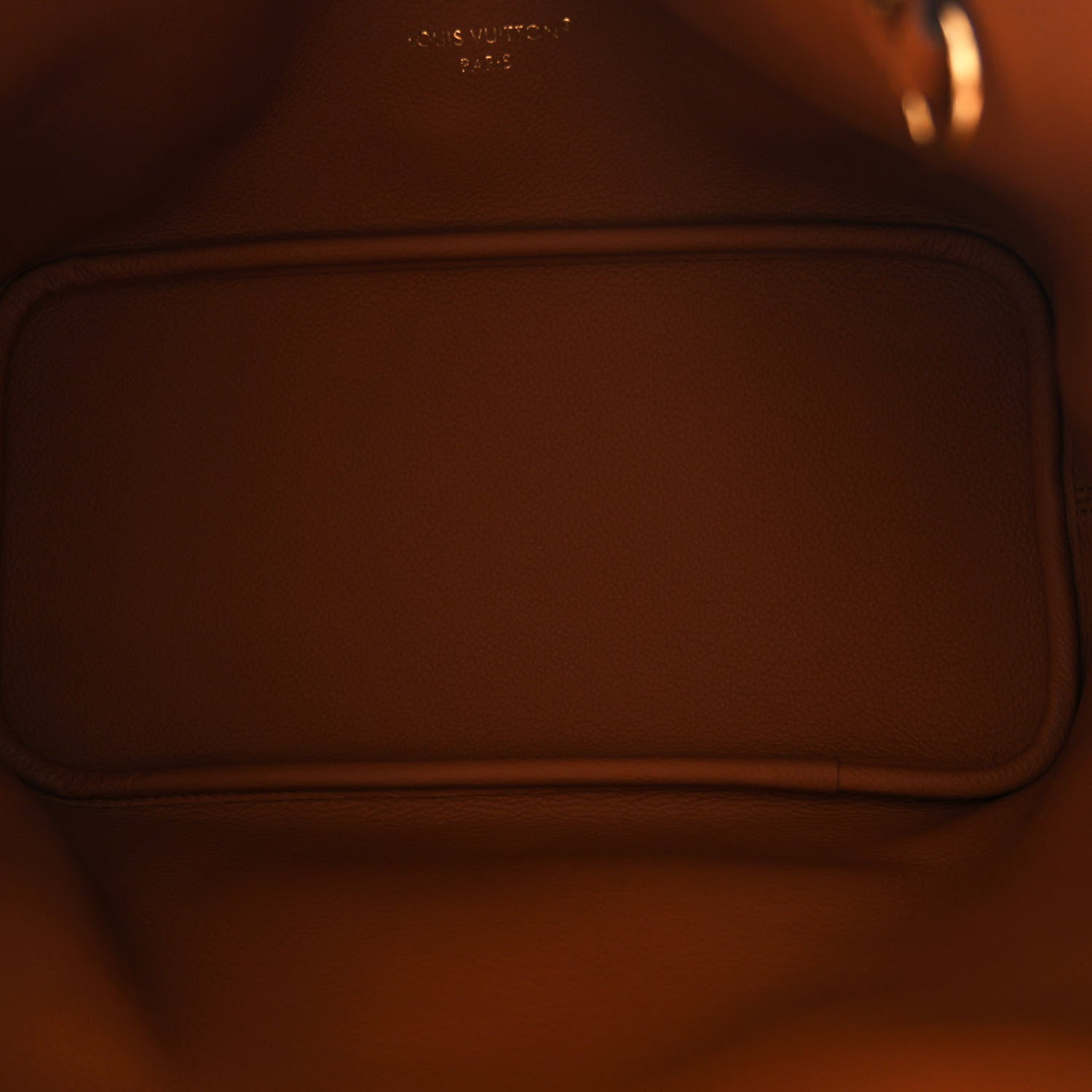 Louis Vuitton Monogram Calfskin Neo Neverfull Inside Out MM Tan 11 of 19