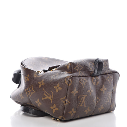 Louis Vuitton Monogram Palm Springs Backpack Mini 4 of 14
