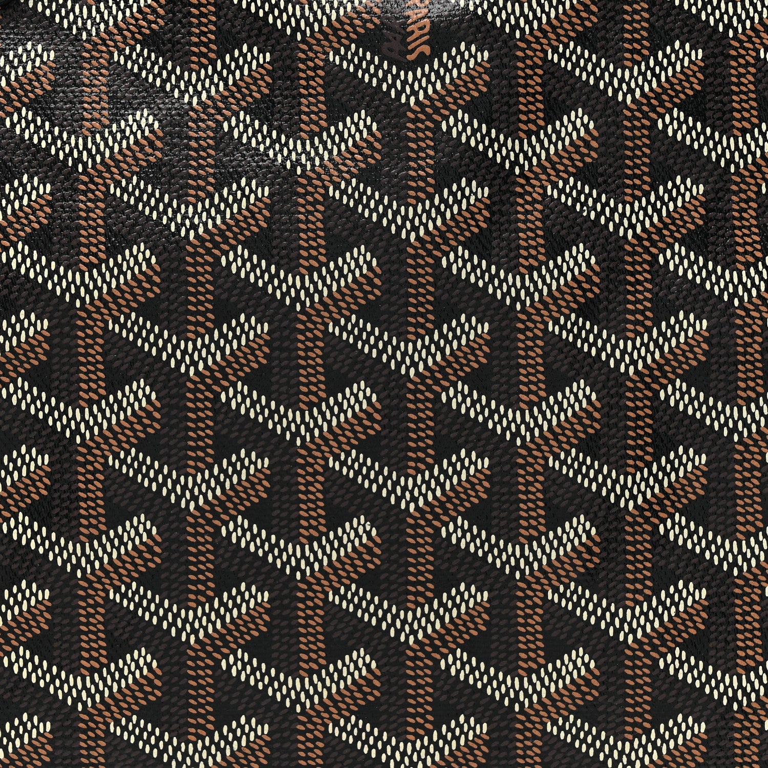 Goyard Goyardine Saint Louis PM Black 10 of 20