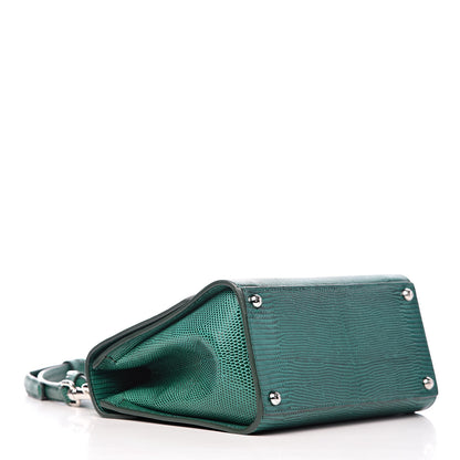 Dolce & Gabbana Lizard Calfskin Embossed Small Monica Top Handle Bag Green 4 of 13