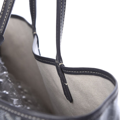 Goyard Goyardine Saint Louis PM Grey 11 of 18