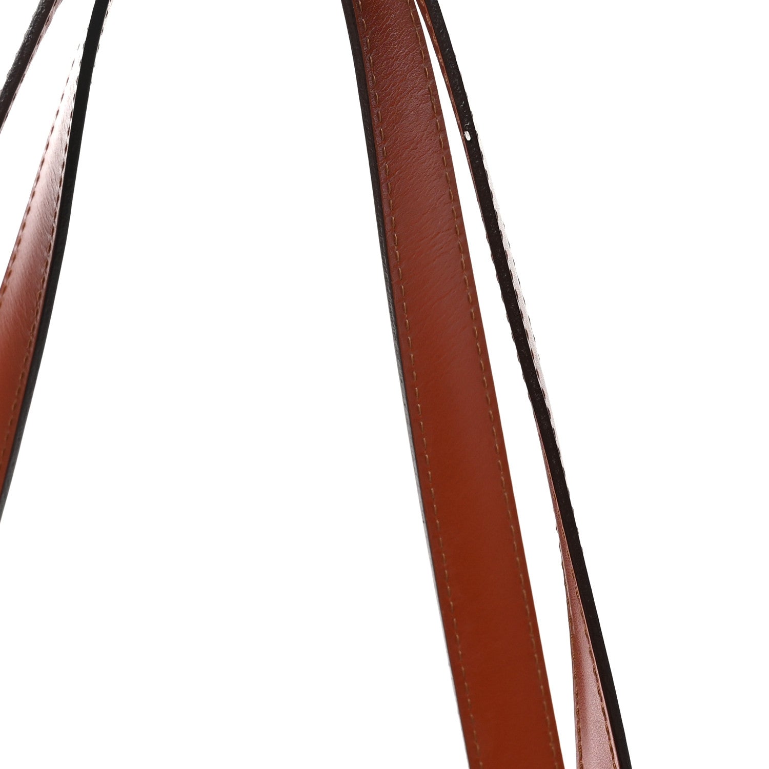 Louis Vuitton Epi Lussac Kenyan Fawn 12 of 13