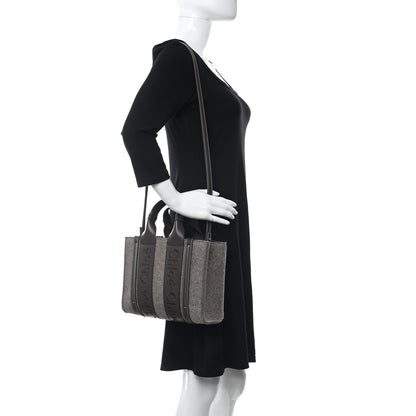 Chloe Felt Calfskin Small Woody Ribbon Tote With Strap Deep Beige 2 of 12