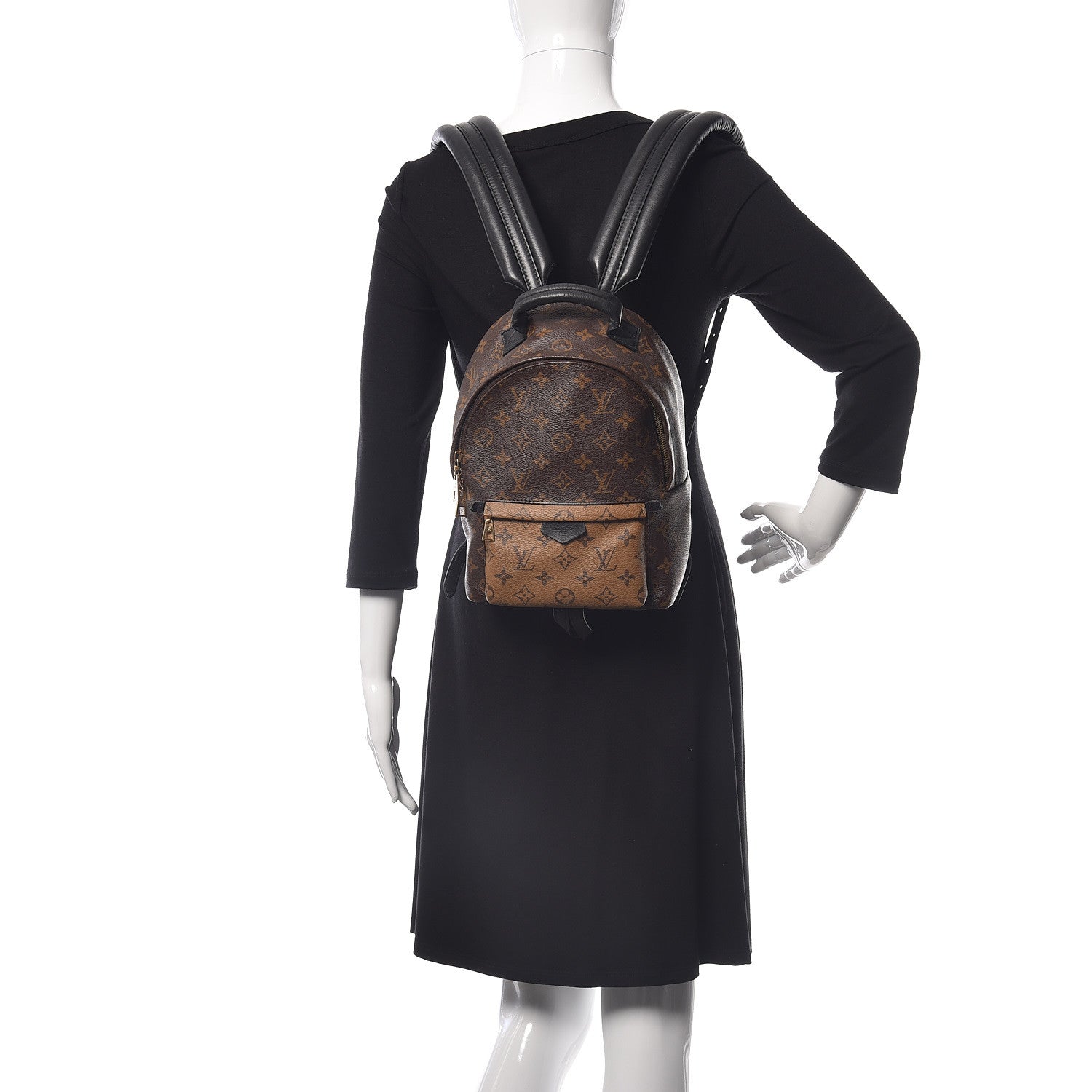 Louis Vuitton Reverse Monogram Palm Springs Backpack PM 2 of 10