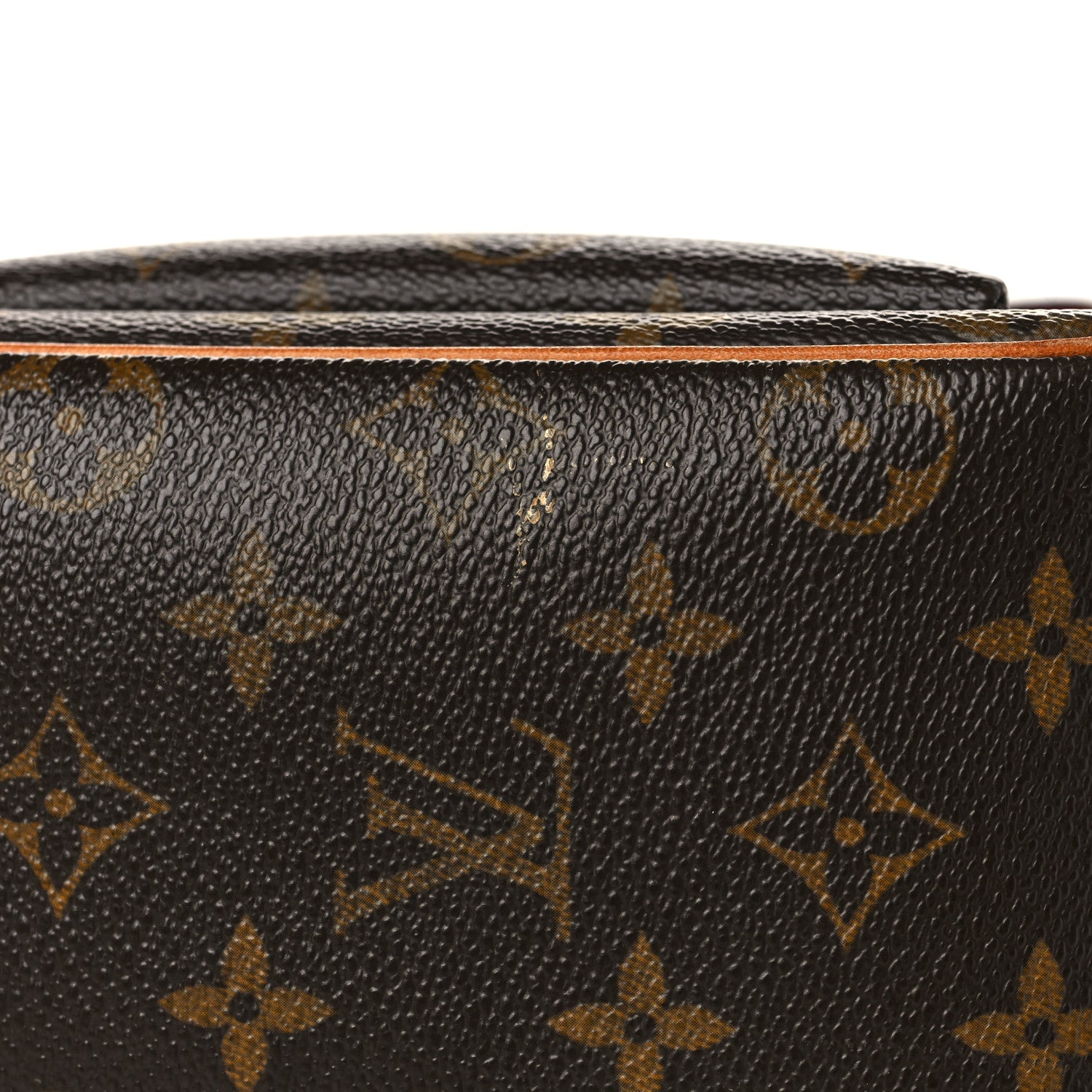 Louis Vuitton Monogram Viva-Cite GM 11 of 12