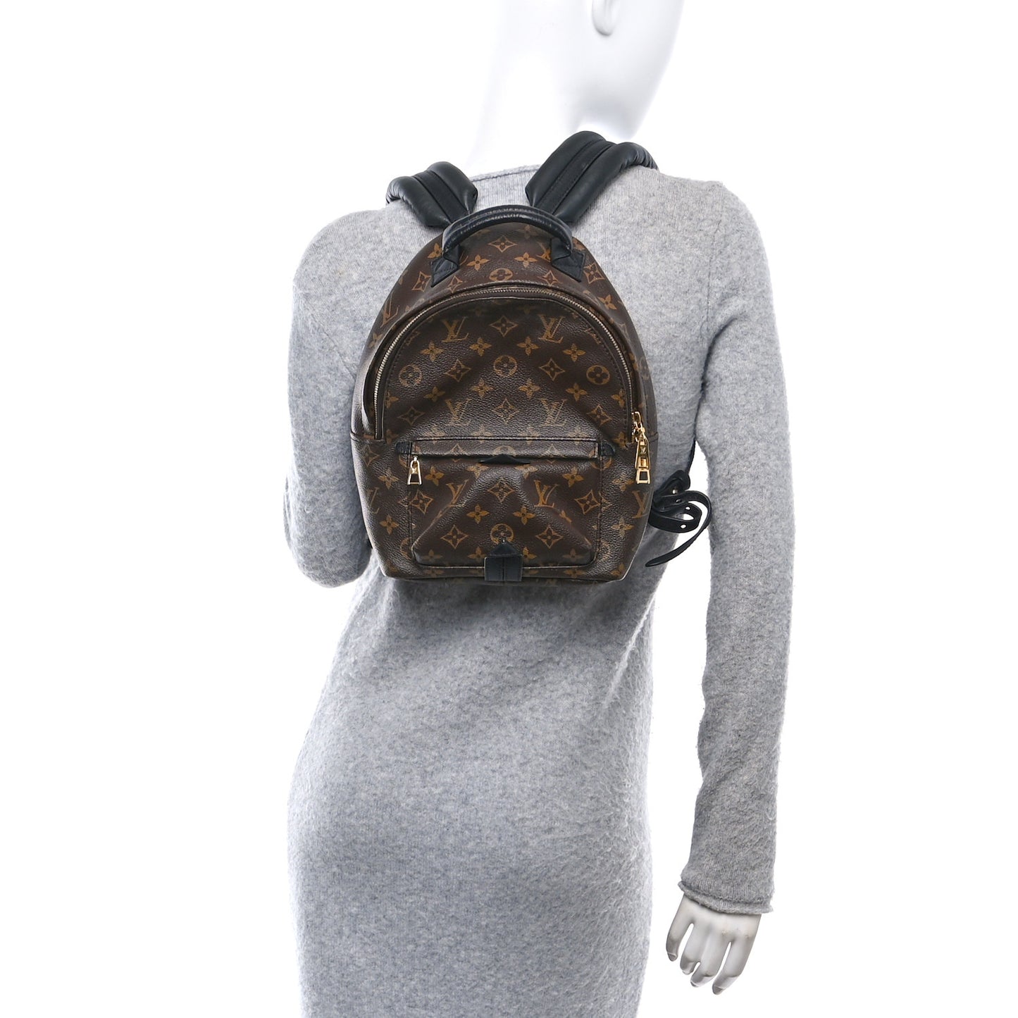 Monogram Palm Springs Backpack PM
