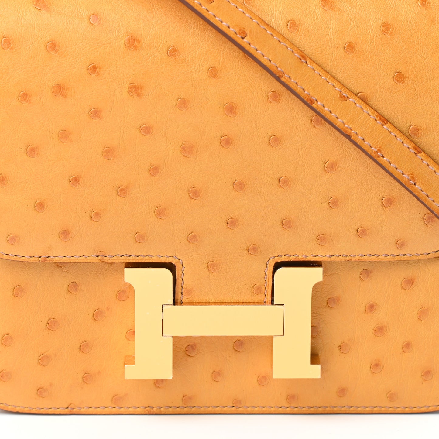 Ostrich Constance 18 Safran