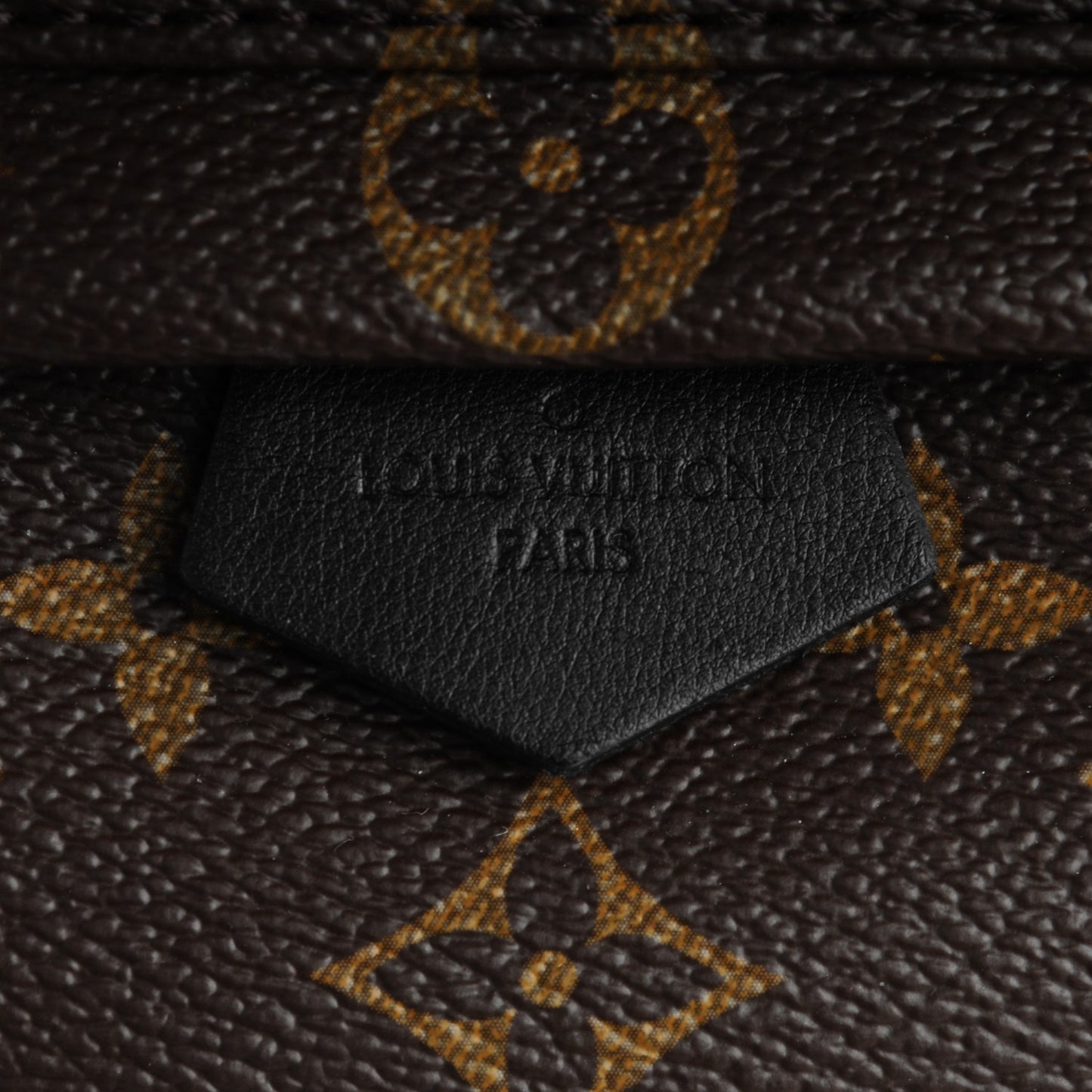 Monogram Palm Springs Backpack Mini