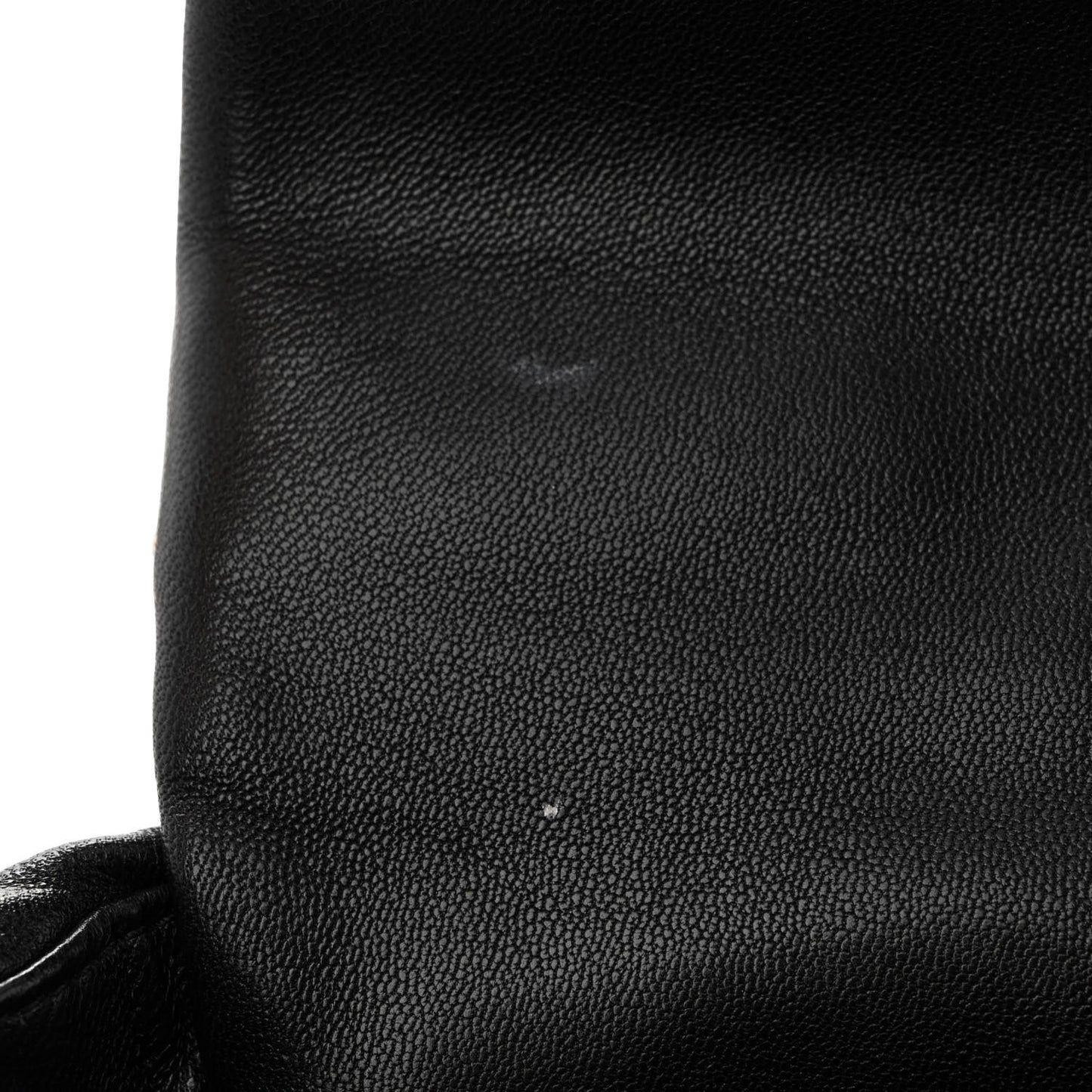 Goatskin Quilted Medium Chanel 19 Flap Black