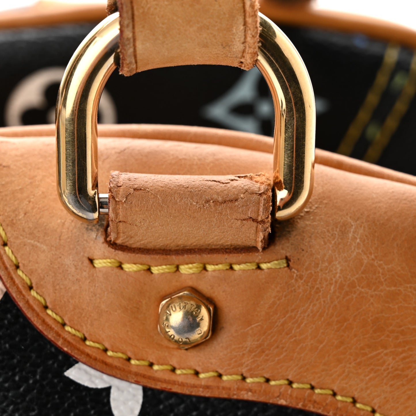 Monogram Multicolor Claudia Black