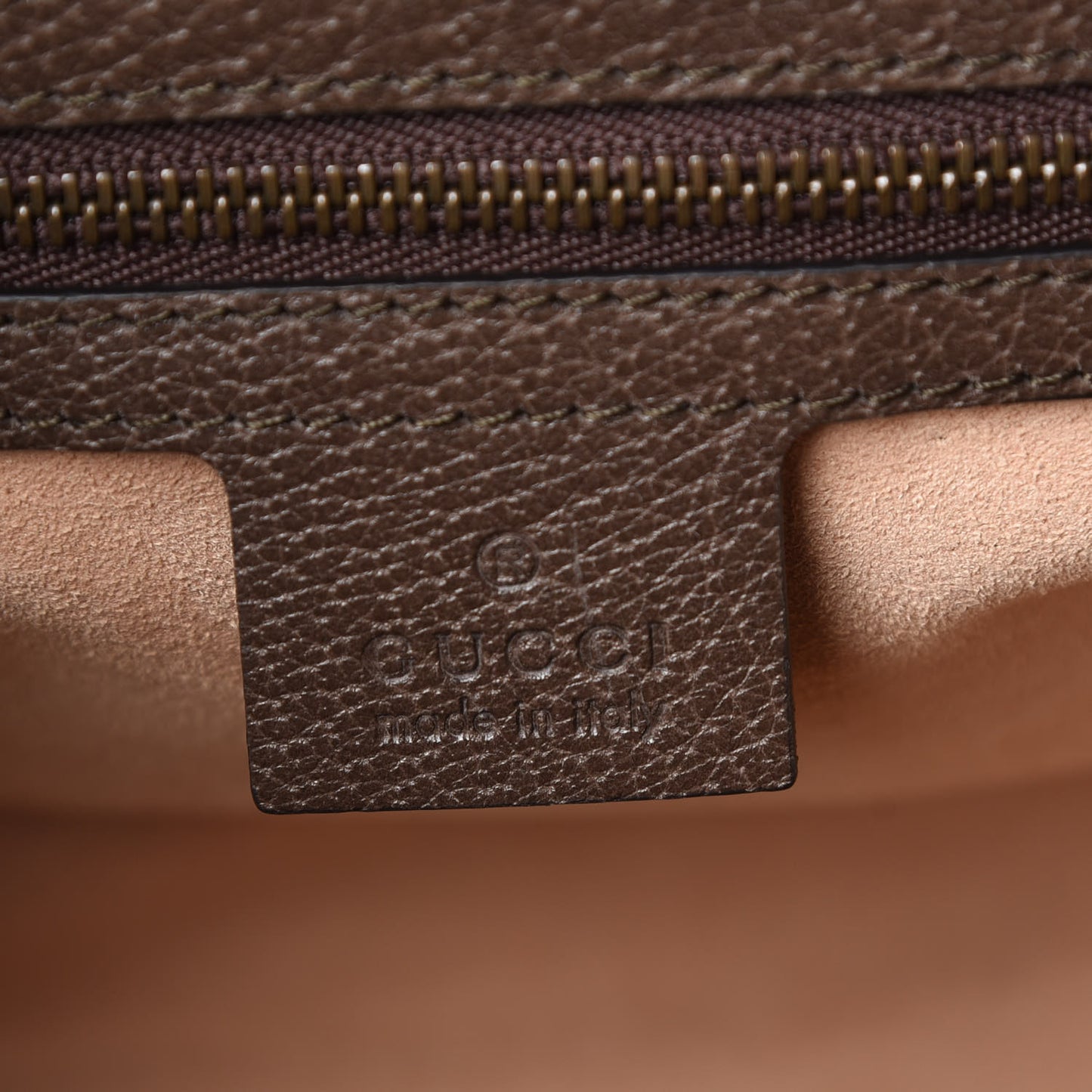 Textured Calfskin Web Crystal Butterfly Stripe Medium Totem Top Handle Bag New Acero