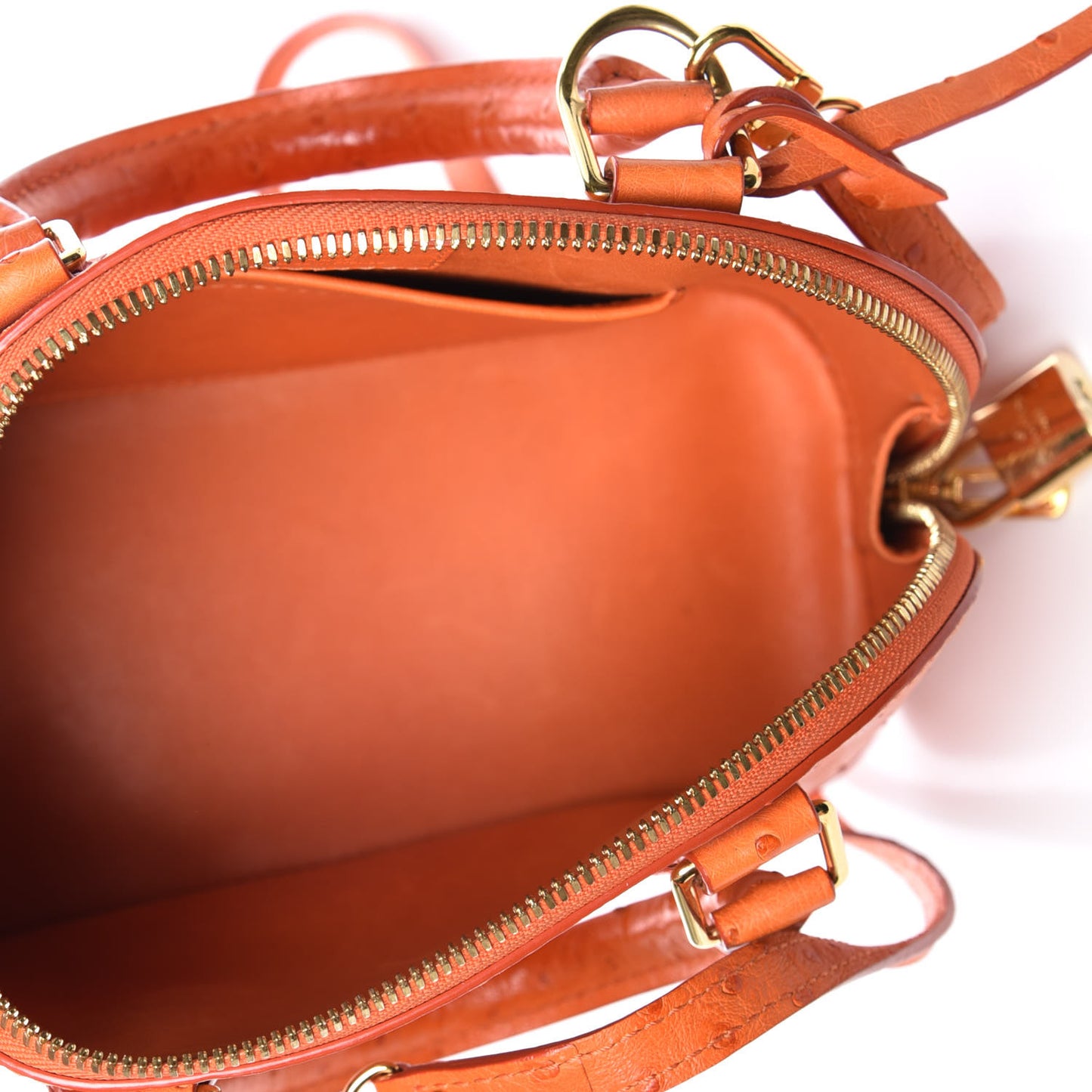 Ostrich Alma BB Piment