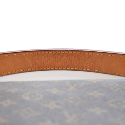 Louis Vuitton Monogram Berri PM 10 of 11