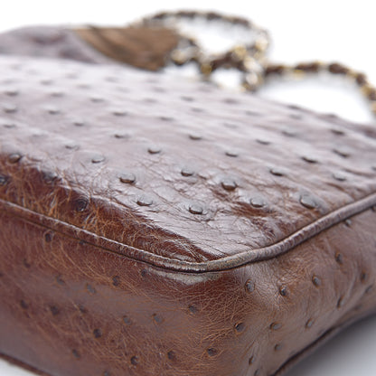 Chanel Ostrich Tassel Camera Case Brown 22 of 24
