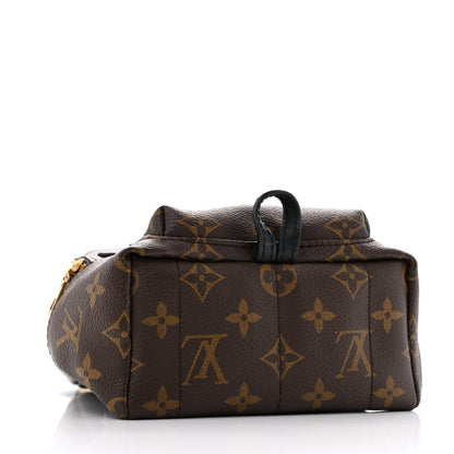 Louis Vuitton Monogram Palm Springs Backpack Mini 4 of 12