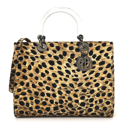 Christian Dior Canvas Leopard Print Large Lady Dior 1 of 11