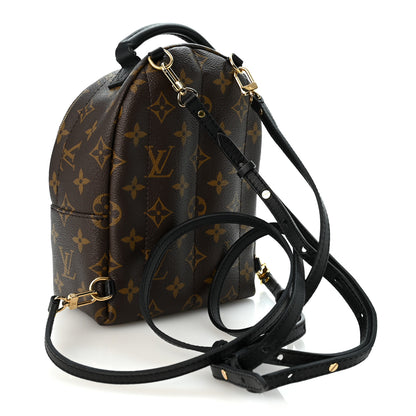 Louis Vuitton Monogram Palm Springs Backpack Mini 3 of 9
