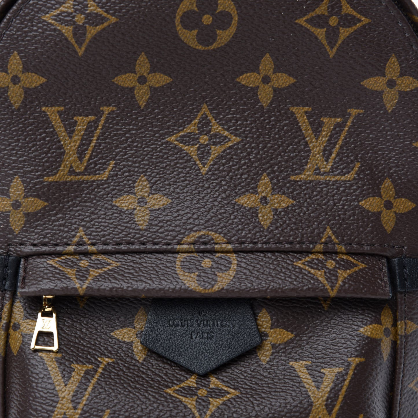 Monogram Palm Springs Backpack Mini