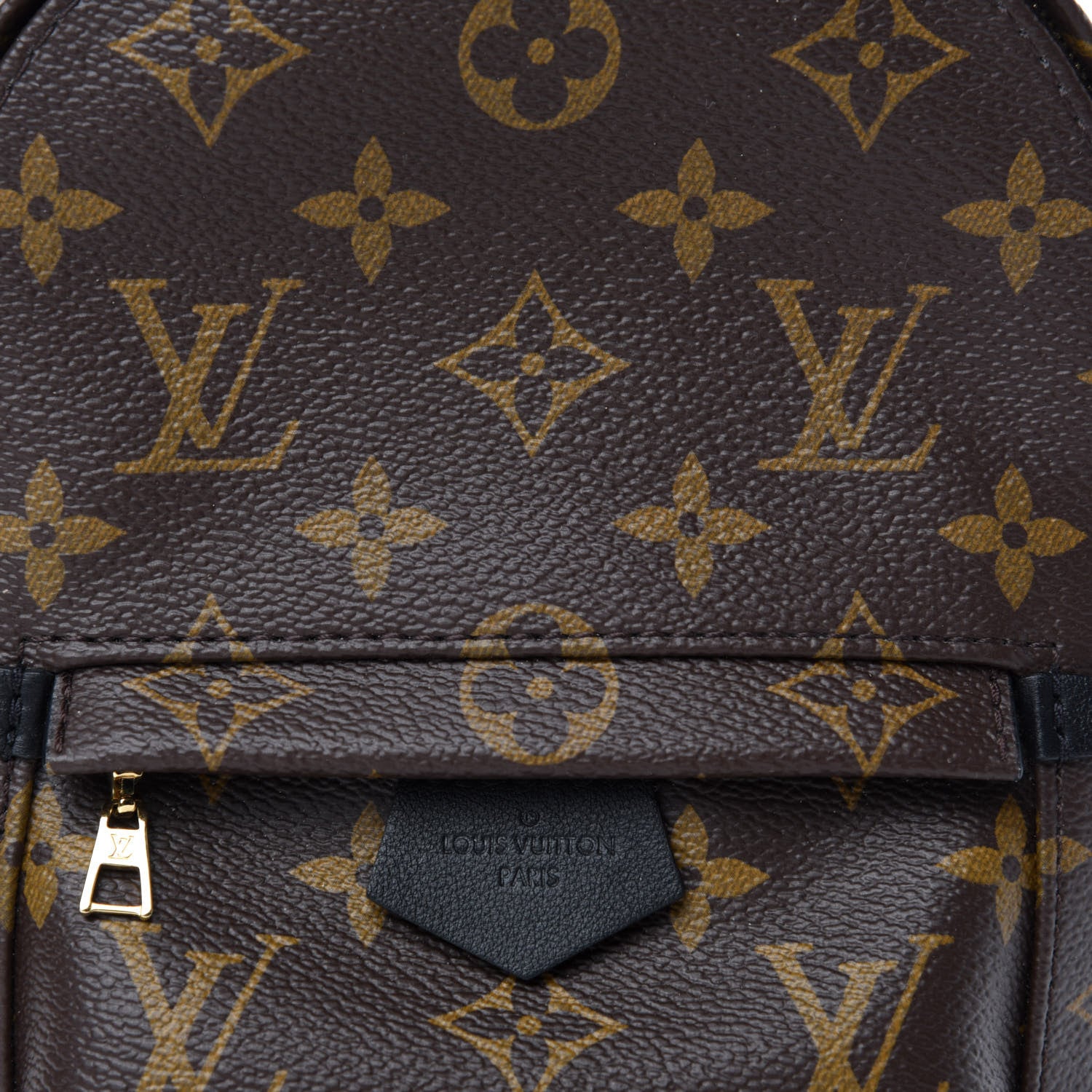 Louis Vuitton Monogram Palm Springs Backpack Mini 10 of 11