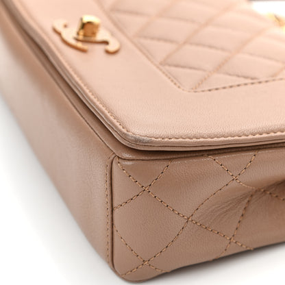 Chanel Sheepskin Quilted Small Vintage Mademoiselle Flap Beige 10 of 11